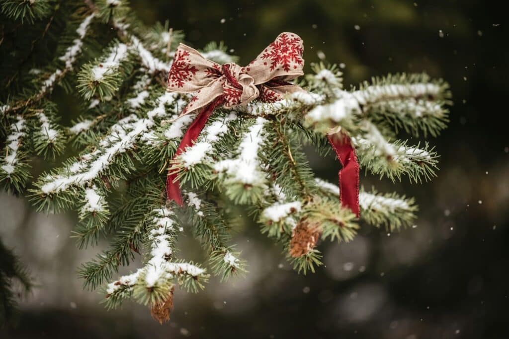 Professional Christmas Decorating Services