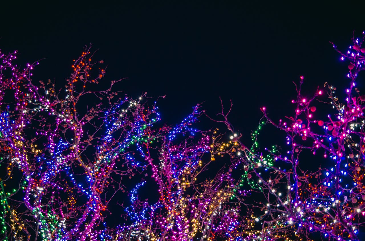 christmas lights