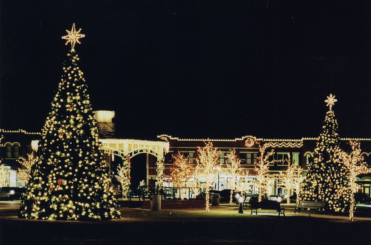 Full Service Holiday Lighting for Your Property